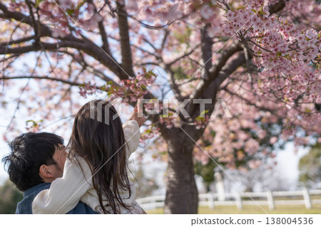 Parent and child looking at cherry blossoms Parent and child looking at cherry blossoms 138004536