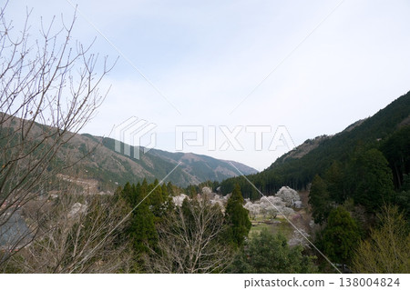從岐阜縣本棲市新谷臼泉櫻花展望台看到的景色（第八部分）－2025年4月 138004824