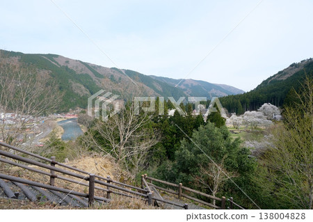 從岐阜縣本棲市新谷臼泉櫻花展望台看到的景色(13) - 2025年4月 從岐阜縣本棲市新谷臼泉櫻花展望台看到的景色(13) - 2025年4月 138004828