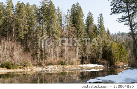 Calm forest water and melting snow in late winter, Bavaria, Germany 138004880