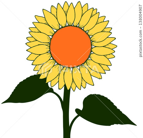 flower flower 138004907
