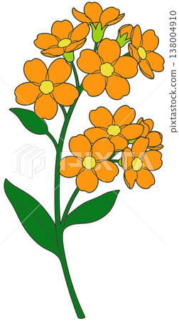 flower 138004910