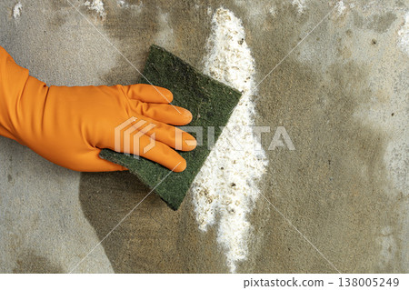 Close-Up of Hand Wearing Orange Rubber Glove Scrubbing White Efflorescence Mineral Deposit or Mold Stain on Rough Gray Concrete Wall Using Green Abrasive Sponge Pad 138005249