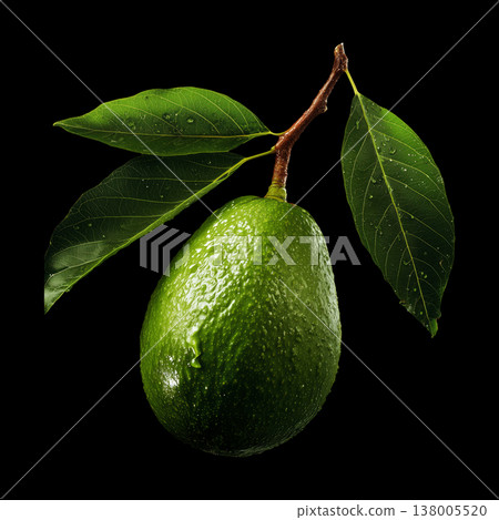 Fresh whole avocado with green leaves isolated on black background with clipping path, concept freshness and organic produce Fresh whole avocado with green leaves isolated on black background with clipping path, concept freshness and organic produce 138005520