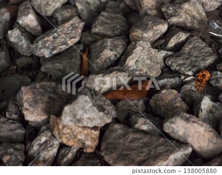 Extreme close-up view of the rocks on the old railway. Different shape of rocks on the railway. Full of rocks. Rock/stone background. Extreme close-up view of the rocks on the old railway. Different shape of rocks on the railway. Full of rocks. Rock/stone background. 138005880