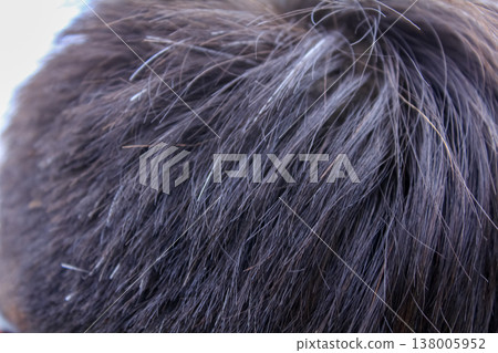 Close-up of a man hair with few gray hair. Man hair, black hair. 138005952