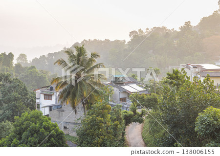 Sunlit tropical vista of homes nestled among lush green forests and hills, with a winding path and a large palm tree in the foreground. Kandy town in Sri Lanka. Sunlit tropical vista of homes nestled among lush green forests and hills, with a winding path and a large palm tree in the foreground. Kandy town in Sri Lanka. 138006155