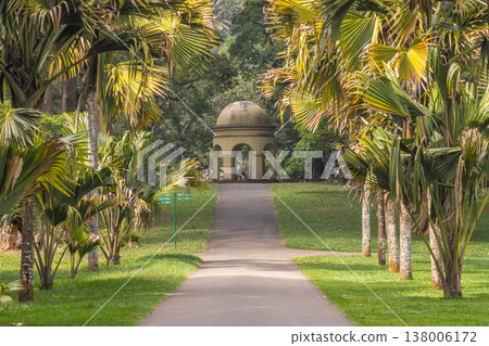 Peradeniya, Royal Botanic Gardens near of Kandy town in Sri Lanka. Arched Pavilion at the End of a Palm-Lined Pathway in a Lush Tropical Park on a Sunny Day, Evoking Tranquility and Natural Beauty Peradeniya, Royal Botanic Gardens near of Kandy town in Sri Lanka. Arched Pavilion at the End of a Palm-Lined Pathway in a Lush Tropical Park on a Sunny Day, Evoking Tranquility and Natural Beauty 138006172