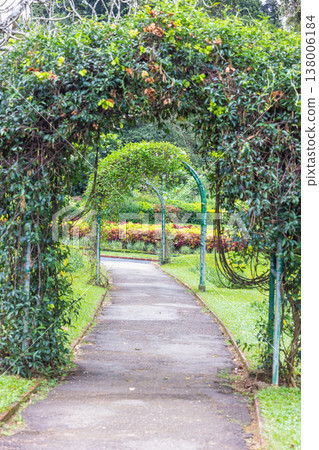 Peradeniya, Royal Botanic Gardens near of Kandy town in Sri Lanka. Inviting Garden Pathway through Lush Green Archways Leading to Vibrant Foliage, Nature's Serene Oasis Peradeniya, Royal Botanic Gardens near of Kandy town in Sri Lanka. Inviting Garden Pathway through Lush Green Archways Leading to Vibrant Foliage, Nature's Serene Oasis 138006184