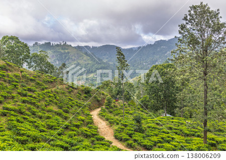 Winding Earthen Path Through Verdant Tropical Hills with Lush Agricultural Crops Under a Cloudy Sky. Mountain landscape near Ella in Sri Lanka. Winding Earthen Path Through Verdant Tropical Hills with Lush Agricultural Crops Under a Cloudy Sky. Mountain landscape near Ella in Sri Lanka. 138006209