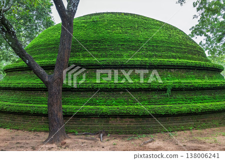 Ancient Royal Palace Ruins in Polonnaruwa, Sri Lanka. Ancient Moss-Covered Brick Structure and Tree in a Serene, Lush Tropical Green Landscape on an Overcast Day Ancient Royal Palace Ruins in Polonnaruwa, Sri Lanka. Ancient Moss-Covered Brick Structure and Tree in a Serene, Lush Tropical Green Landscape on an Overcast Day 138006241