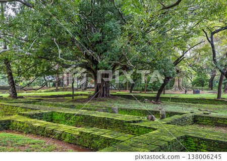 Ancient Royal Palace Ruins in Polonnaruwa, Sri Lanka. Ancient Ruins with Moss-Covered Walls and Lush Green Trees in a Serene Forest Landscape Ancient Royal Palace Ruins in Polonnaruwa, Sri Lanka. Ancient Ruins with Moss-Covered Walls and Lush Green Trees in a Serene Forest Landscape 138006245
