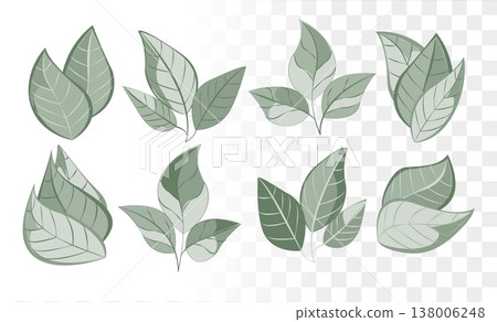 Dusty Sage Green Leaf Vector Set Minimalist Botanical Icons for Eco-Friendly Branding, Luxury Skincare Packaging and Wellness Identity. Clean Paths 138006248