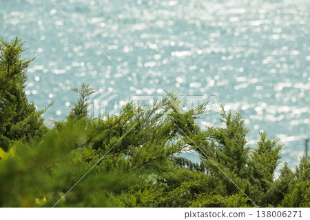 Beachside Foliage Scenery. Gulfside Greenery With Sparkling Water Glow And Peaceful Atmosphere Beachside Foliage Scenery. Gulfside Greenery With Sparkling Water Glow And Peaceful Atmosphere 138006271