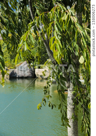 Serene Nature Scene. Calm Pond With Trees And Rocks. Peaceful Garden Setting With Water And Greenery Serene Nature Scene. Calm Pond With Trees And Rocks. Peaceful Garden Setting With Water And Greenery 138006273