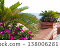 Garden Floral Display. Sunlit Garden Scene Highlighting Colorful Plant Life And Relaxing Ambiance 138006281