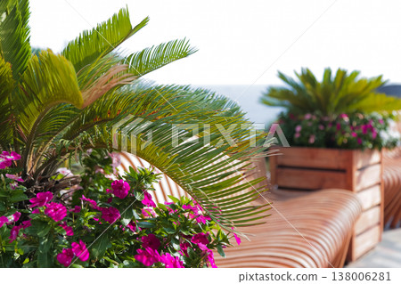 Garden Floral Display. Sunlit Garden Scene Highlighting Colorful Plant Life And Relaxing Ambiance 138006281
