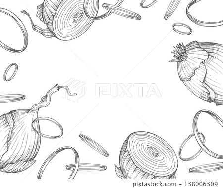 Restangular frame of the onions. Vector ink handmade illustration. For packaging design, cards, cover, prints, product labels and fabric. Restangular frame of the onions. Vector ink handmade illustration. For packaging design, cards, cover, prints, product labels and fabric. 138006309
