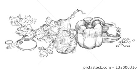 Banner of the bell pepper, onion and parsley. Vector ink styled handmade illustration. For packaging design, cards, cover, prints, product labels and fabric. Banner of the bell pepper, onion and parsley. Vector ink styled handmade illustration. For packaging design, cards, cover, prints, product labels and fabric. 138006310