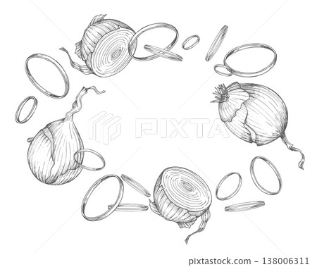 Oval frame of the onions. Vector ink handmade illustration. For packaging design, cards, cover, prints, product labels and fabric. Oval frame of the onions. Vector ink handmade illustration. For packaging design, cards, cover, prints, product labels and fabric. 138006311