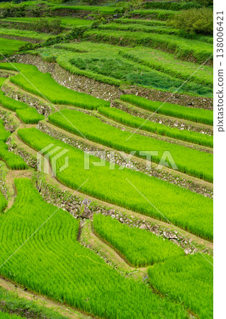 Ryogo Rice Terraces in Innai, Usa City Ryogo Rice Terraces in Innai, Usa City 138006421