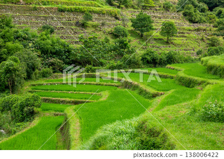 Ryogo Rice Terraces in Innai, Usa City Ryogo Rice Terraces in Innai, Usa City 138006422