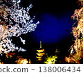 夜晚盛開的櫻花 138006434