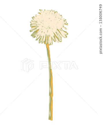 Halftone dandelion collage element. Vintage duotone flower sticker with risograph dot texture. Modern retro vector illustration for mixed media design and scrapbook on transparent background 138006749