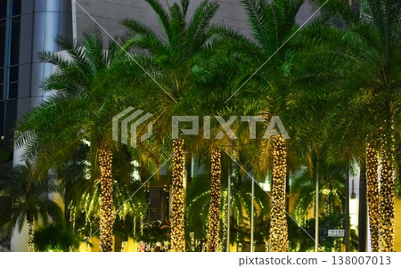 Lighting decoration hanging on the tree in the street. Street scene and downtown scene. Lighting decoration hanging on the tree in the street. Street scene and downtown scene. 138007013
