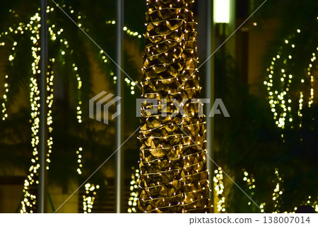 Lighting decoration hanging on the tree in the street. Street scene and downtown scene. Lighting decoration hanging on the tree in the street. Street scene and downtown scene. 138007014