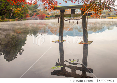 Yufuin Kinri Lake Torii and Autumn Leaves 138007603