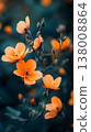A vibrant bloom shows off its orange petals against a dark teal backdrop 138008864