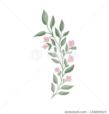 Delicate watercolor botanical sprig with pink flower buds and green leaves, isolated on white background, for creating elegant wedding invitations, organic logo designs, and spring floral wreaths Delicate watercolor botanical sprig with pink flower buds and green leaves, isolated on white background, for creating elegant wedding invitations, organic logo designs, and spring floral wreaths 138009424