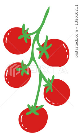 Cherry Tomato Branch Vine. Simple Pomodoro Tomatoes Vegetable. Hand Drawn Vector Illustration Cherry Tomato Branch Vine. Simple Pomodoro Tomatoes Vegetable. Hand Drawn Vector Illustration 138010211