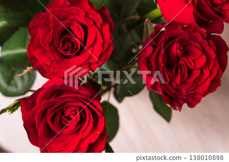 Close-up of three red roses in full bloom. Floral arrangement with green leaves on a soft blurred background. Romantic Valentine's Day or anniversary concept Close-up of three red roses in full bloom. Floral arrangement with green leaves on a soft blurred background. Romantic Valentine's Day or anniversary concept 138010898