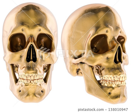 Golden human skull front and side views. 3D rendering Golden human skull front and side views. 3D rendering 138010947