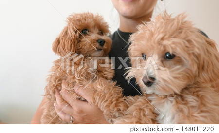 Adoptive introduction with caring volunteer and cheerful surroundings Adoptive introduction with caring volunteer and cheerful surroundings 138011220