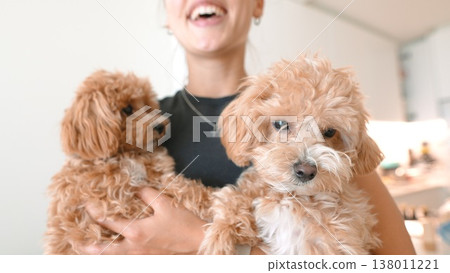 Comforting interaction between owner and adorable therapy puppies indoors 138011221
