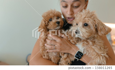 Curious tiny puppies explore outdoor surroundings and camera equipment 138011265
