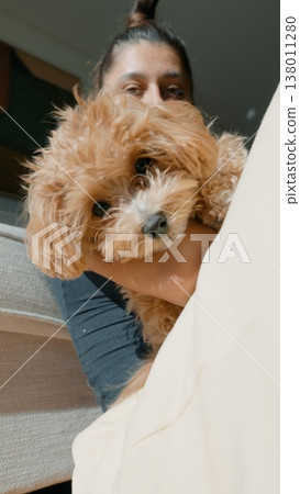 Joyful dog encounter. Spontaneous pet interaction under warm lighting Joyful dog encounter. Spontaneous pet interaction under warm lighting 138011280