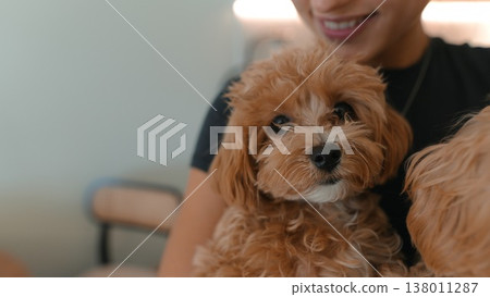 Charming puppies sitting comfortably during lifestyle photo shoot Charming puppies sitting comfortably during lifestyle photo shoot 138011287