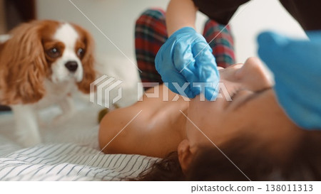 Tender moment of small dog during caring home procedure 138011313