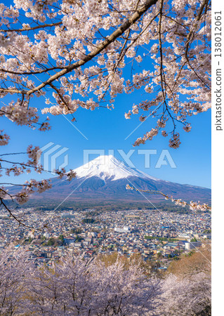 [Spring Material] Mt. Fuji and Cherry Blossoms as Seen from Arakurayama Sengen Park [Yamanashi Prefecture] 138012061