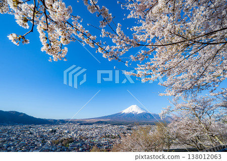 【春季素材】從荒倉山淺間公園看到的富士山和櫻花【山梨縣】 【春季素材】從荒倉山淺間公園看到的富士山和櫻花【山梨縣】 138012063