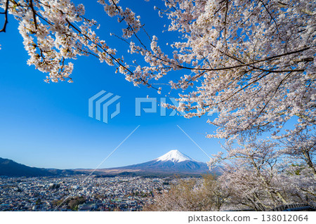 【春季素材】從荒倉山淺間公園看到的富士山和櫻花【山梨縣】 【春季素材】從荒倉山淺間公園看到的富士山和櫻花【山梨縣】 138012064