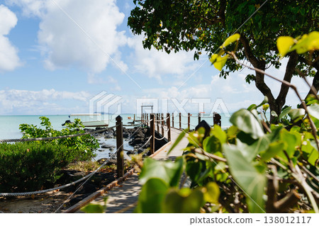 Tropical beach jetty in Mauritius resort with turquoise sea and greenery. 138012117