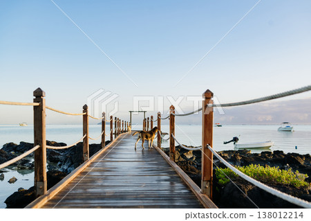 Tropical beach jetty in Mauritius resort with turquoise sea and greenery. Tropical beach jetty in Mauritius resort with turquoise sea and greenery. 138012214