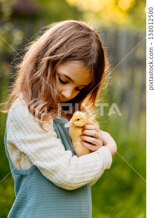 Lovely girl cuddling baby duckling. Lovely girl cuddling baby duckling. 138012500