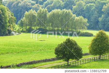 Countryside view of green field. Nature landscape 138012709