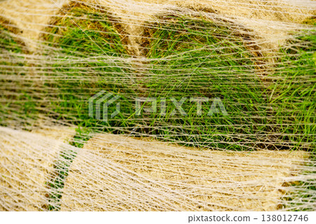 Stacks of sod rolls for new lawn 138012746